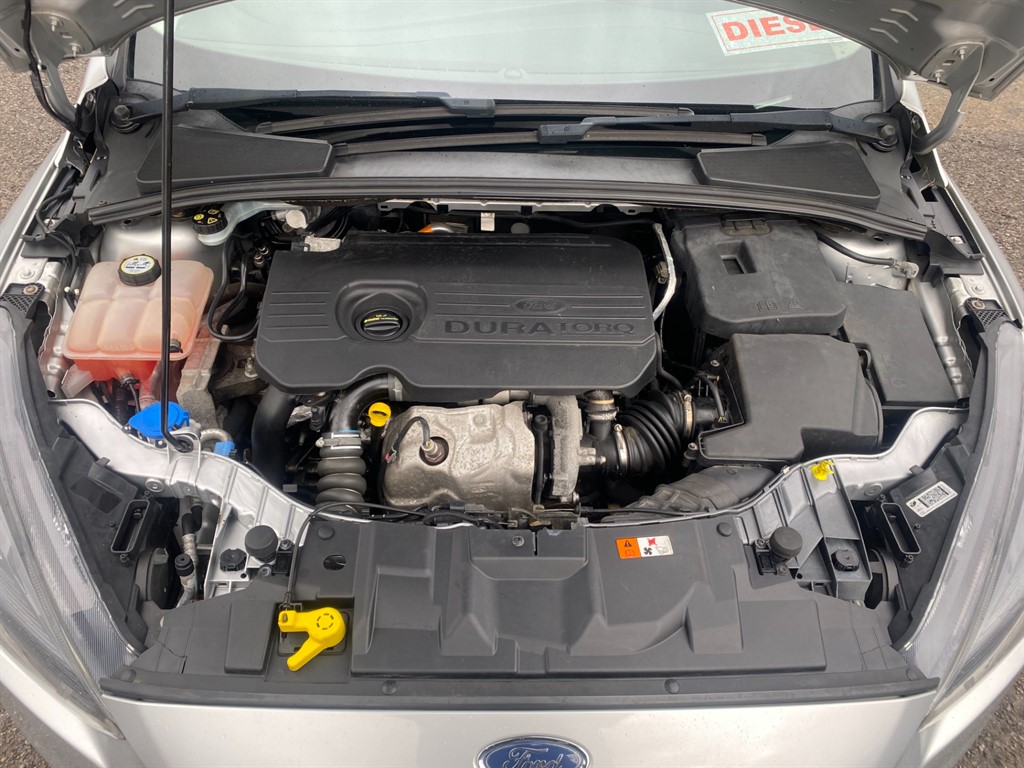 Used Ford Focus 2016 for sale - 77570327: Photo 11