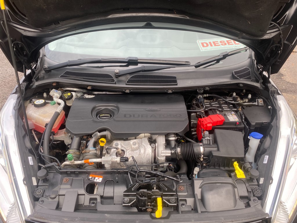 Used Ford Fiesta 2016 for sale - 77063541: Photo 11