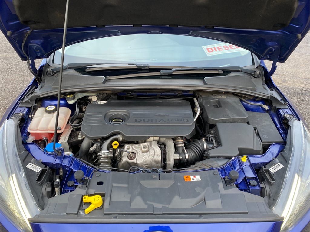 Used Ford Focus 2015 for sale - 77354033: Photo 11