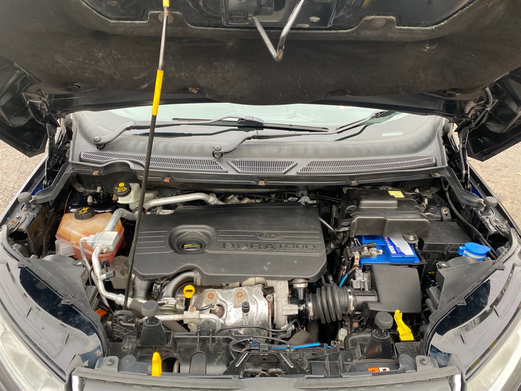 Used Ford Ecosport 2016 for sale - 76818062: Photo 11