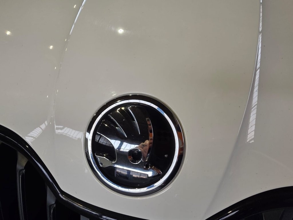 Used Skoda Fabia 2016 for sale - 76482413: Photo 47