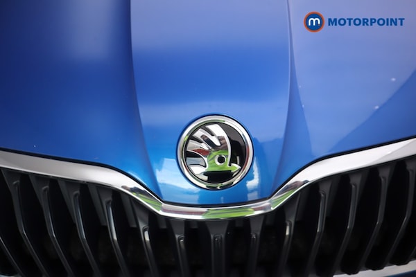 Used Skoda Fabia 2020 for sale - 76278643: Photo 29