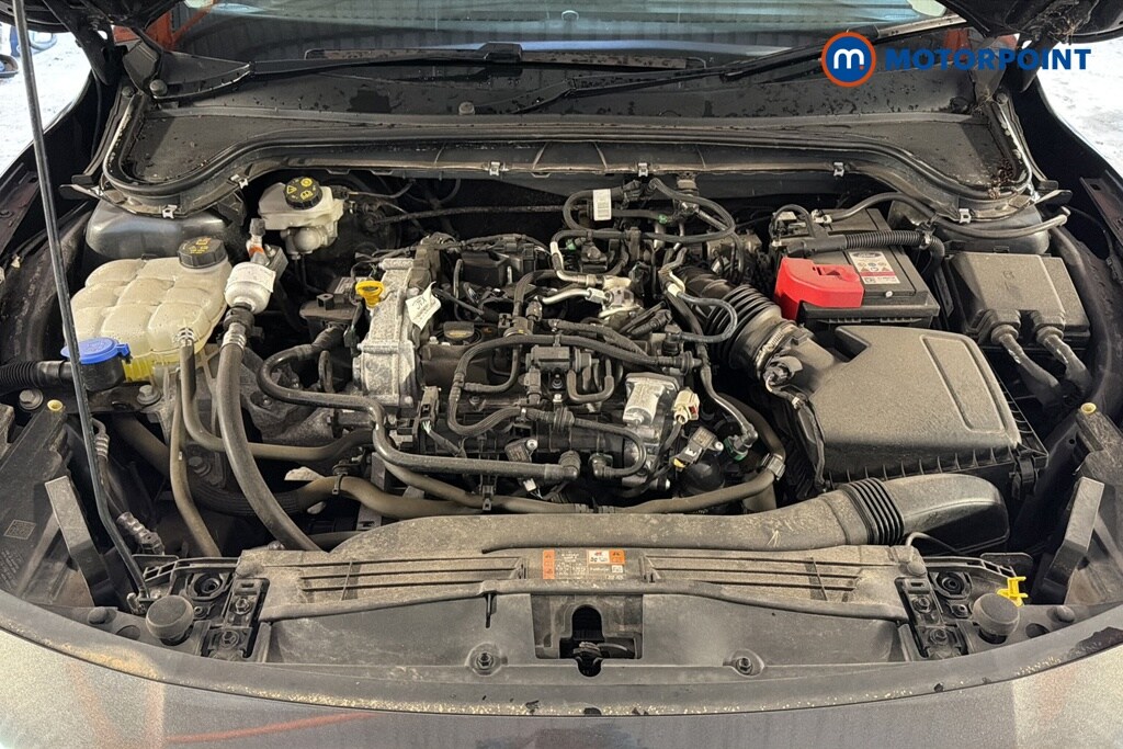 Used Ford Focus 2023 for sale - 78109749: Photo 42