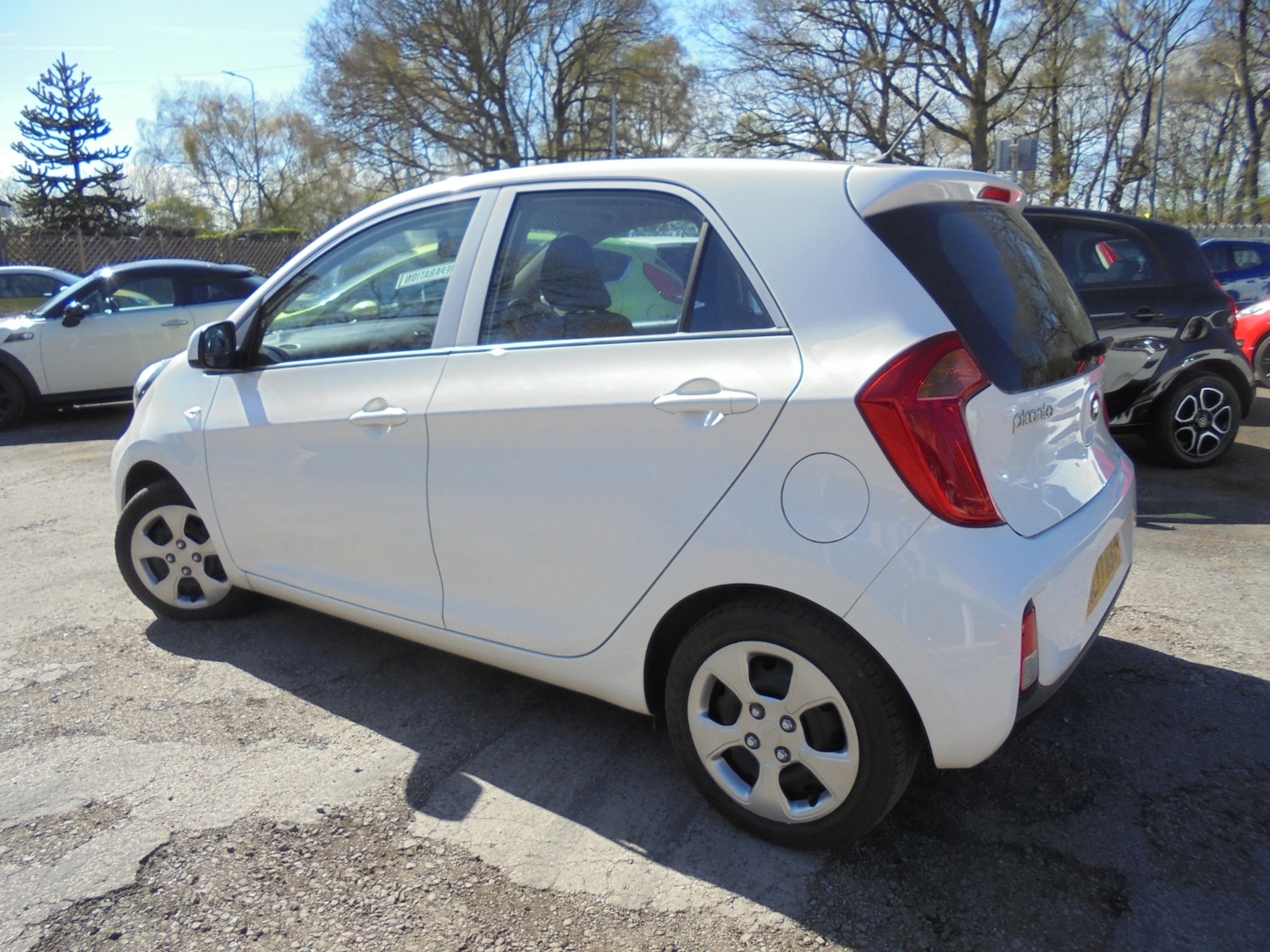 Used Kia Picanto 2017 for sale - 78177457: Photo 3