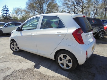 Used Kia Picanto 2017 for sale - 78177457: Photo