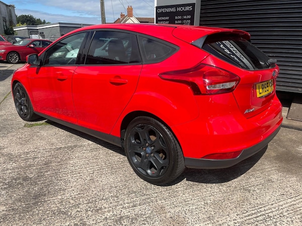 Used Ford Focus 2015 for sale - 68230782: Photo 3