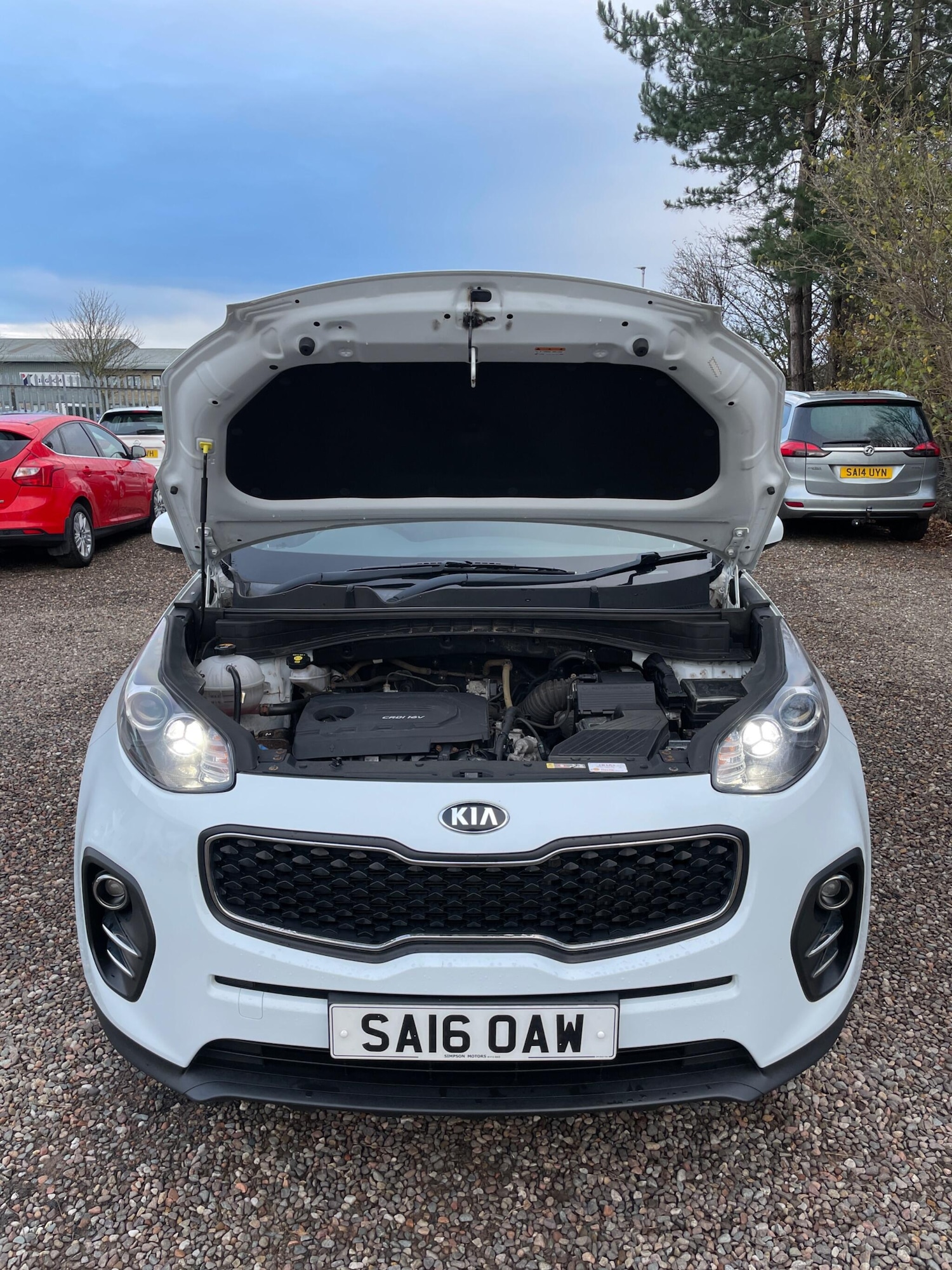 Used Kia Sportage 2016 for sale - 76754776: Photo 11