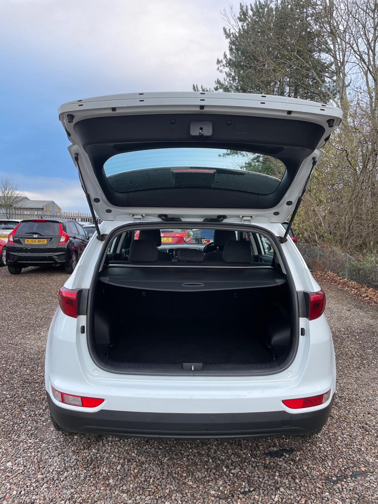 Used Kia Sportage 2016 for sale - 76754776: Photo 12