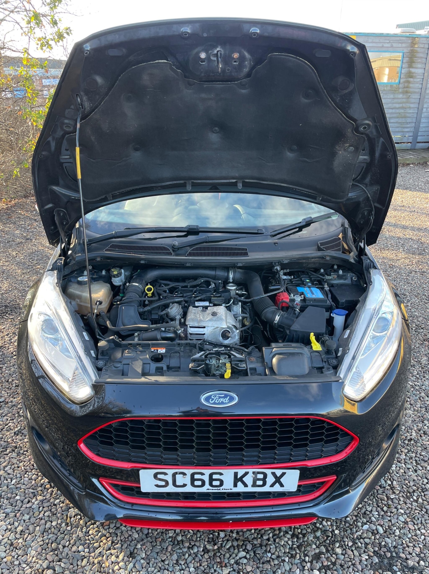 Used Ford Fiesta 2016 for sale - 76635918: Photo 10