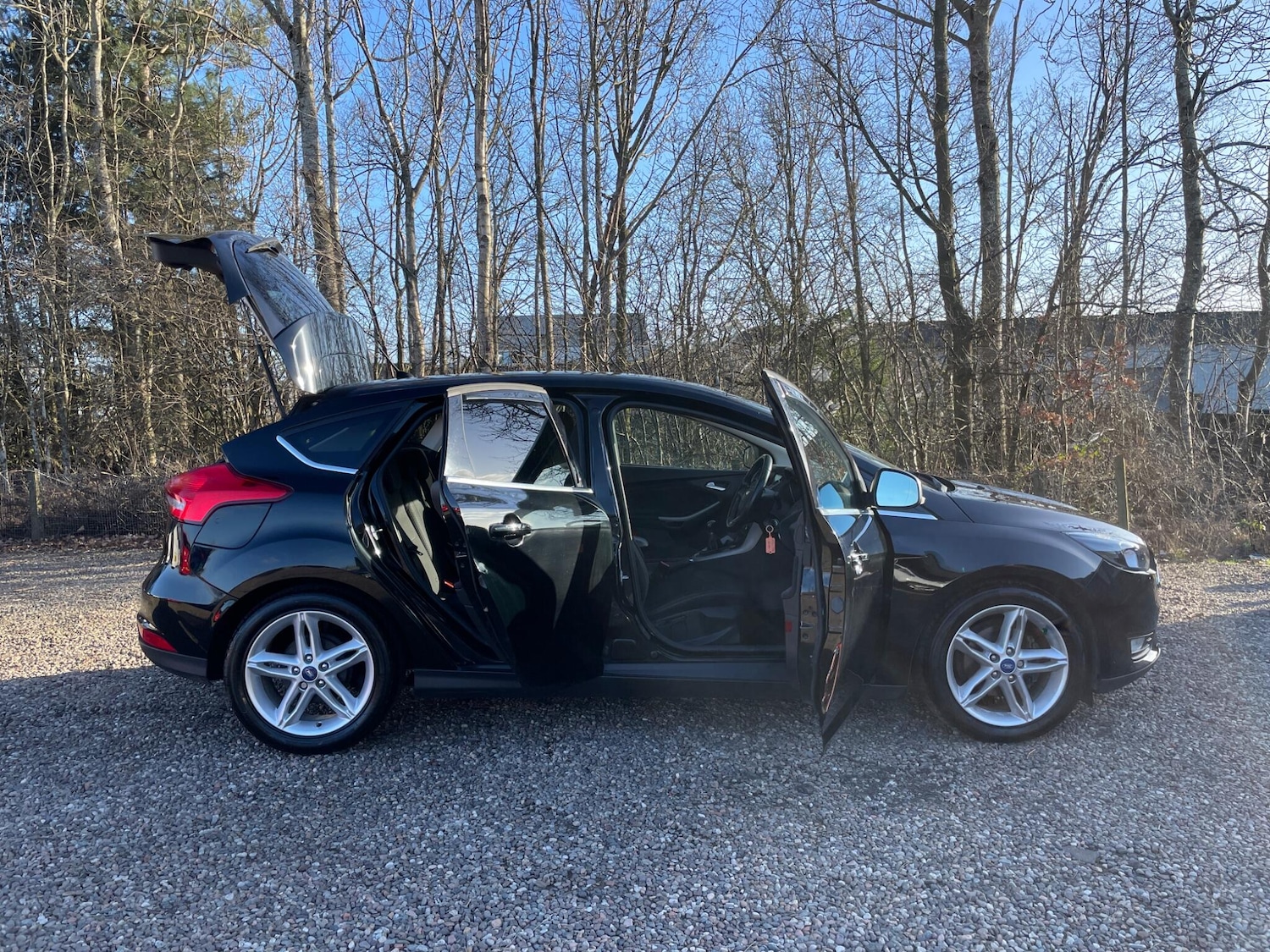 Used Ford Focus 2015 for sale - 77740198: Photo 7