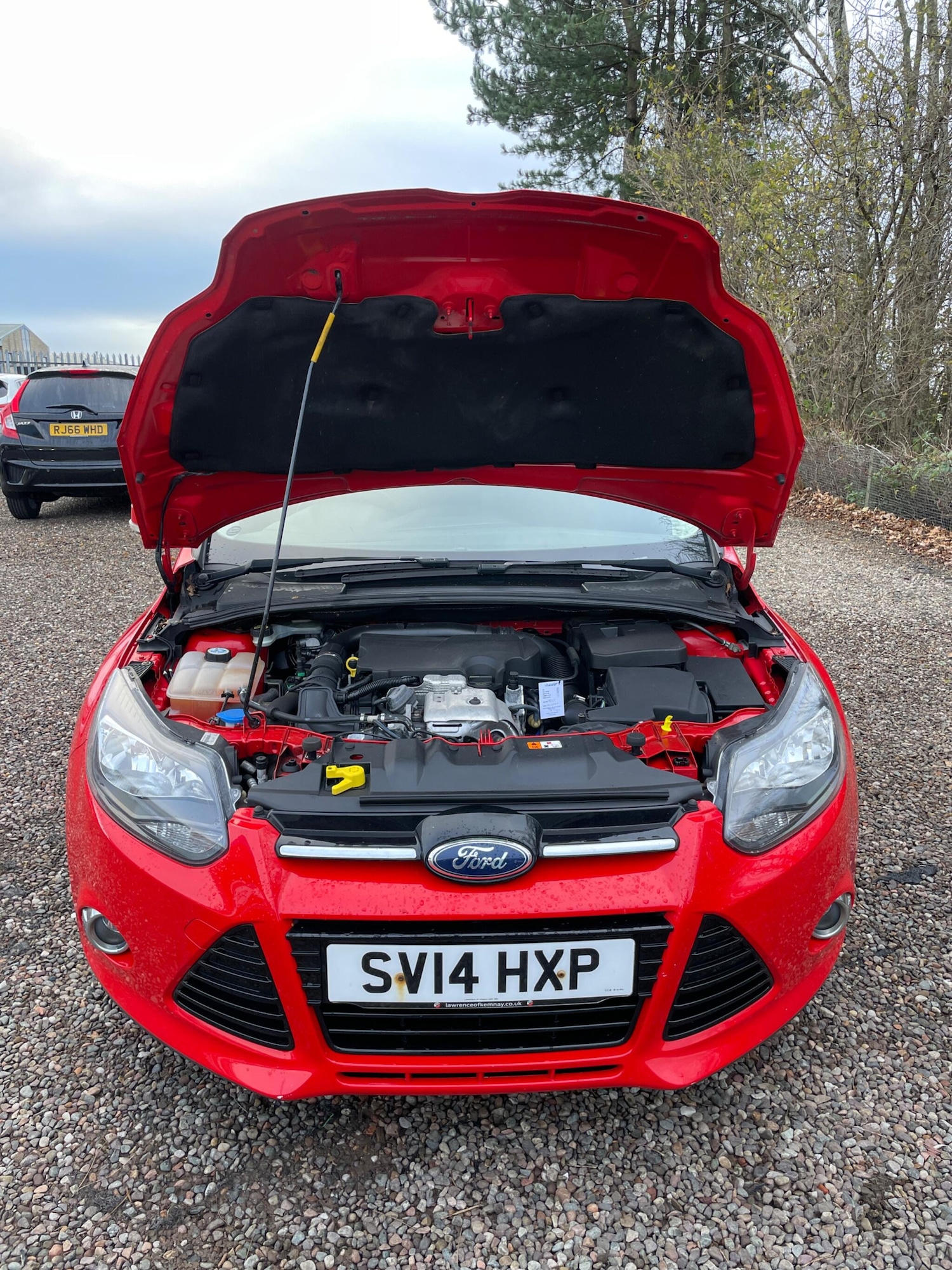 Used Ford Focus 2014 for sale - 76754772: Photo 11