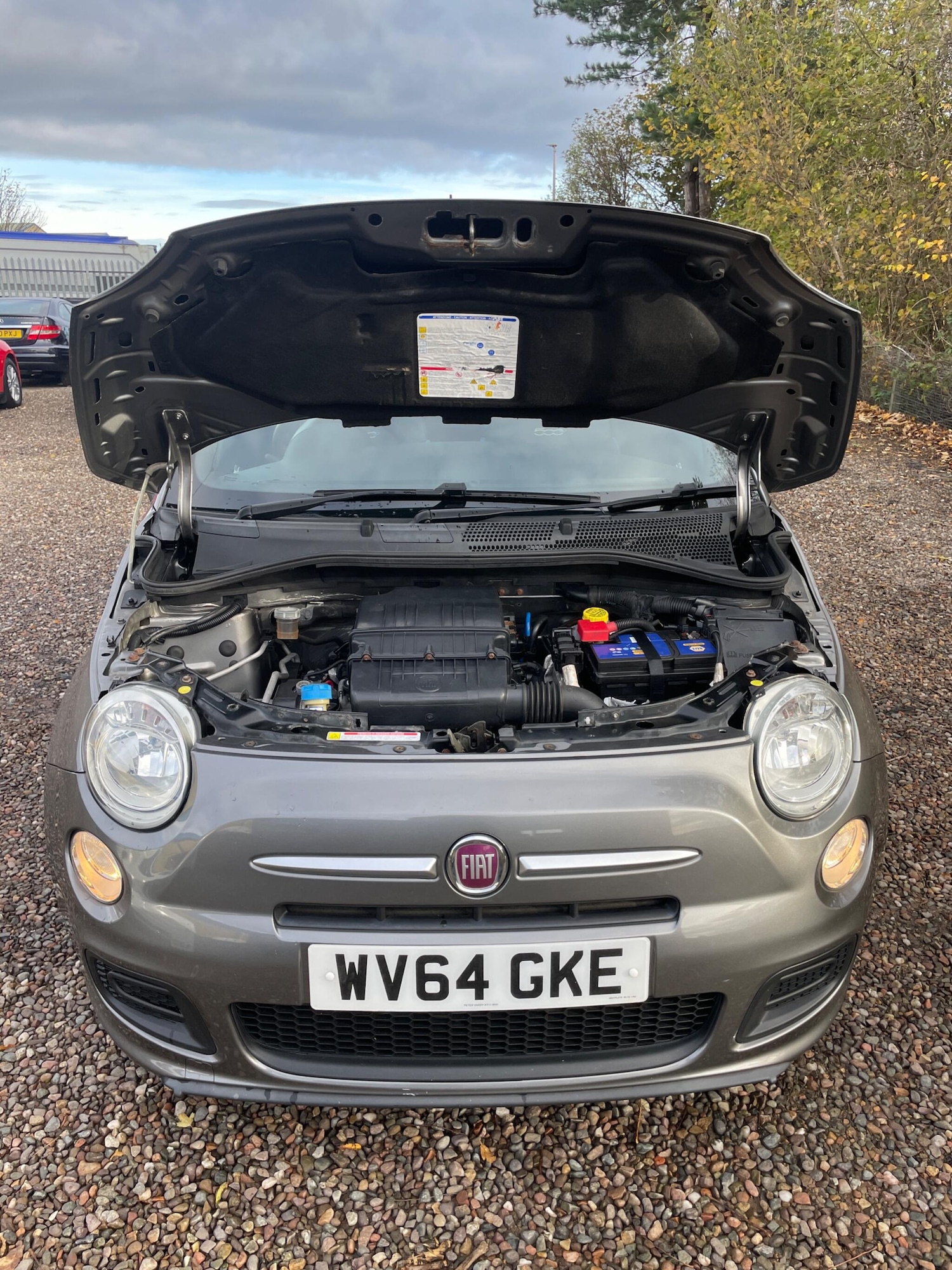 Used Fiat 500 2014 for sale - 76474770: Photo 11