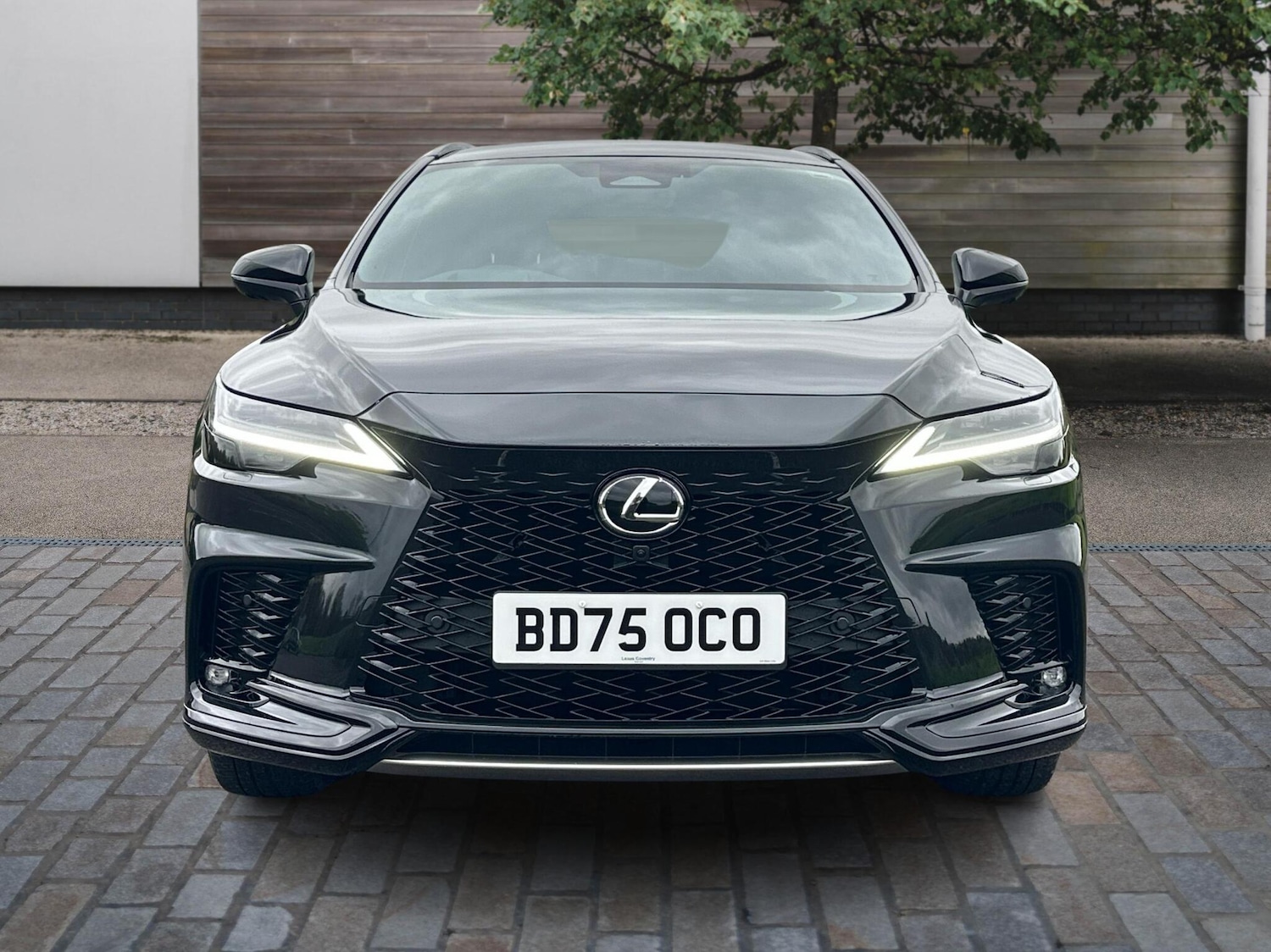 Used Lexus RX 2025 for sale - 76419877: Photo 7