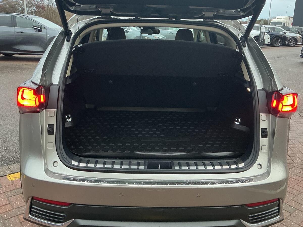 Used Lexus NX 2018 for sale - 76888323: Photo 10