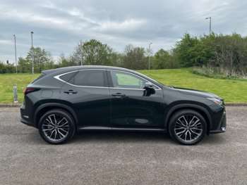 Used Lexus NX 2023 for sale - 74295314: Photo