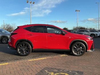 Used Lexus NX 2024 for sale - 76800423: Photo