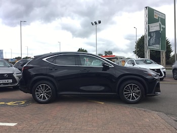 Used Lexus NX 2023 for sale - 75479274: Photo