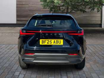 Used Lexus NX 2025 for sale - 73983573: Photo