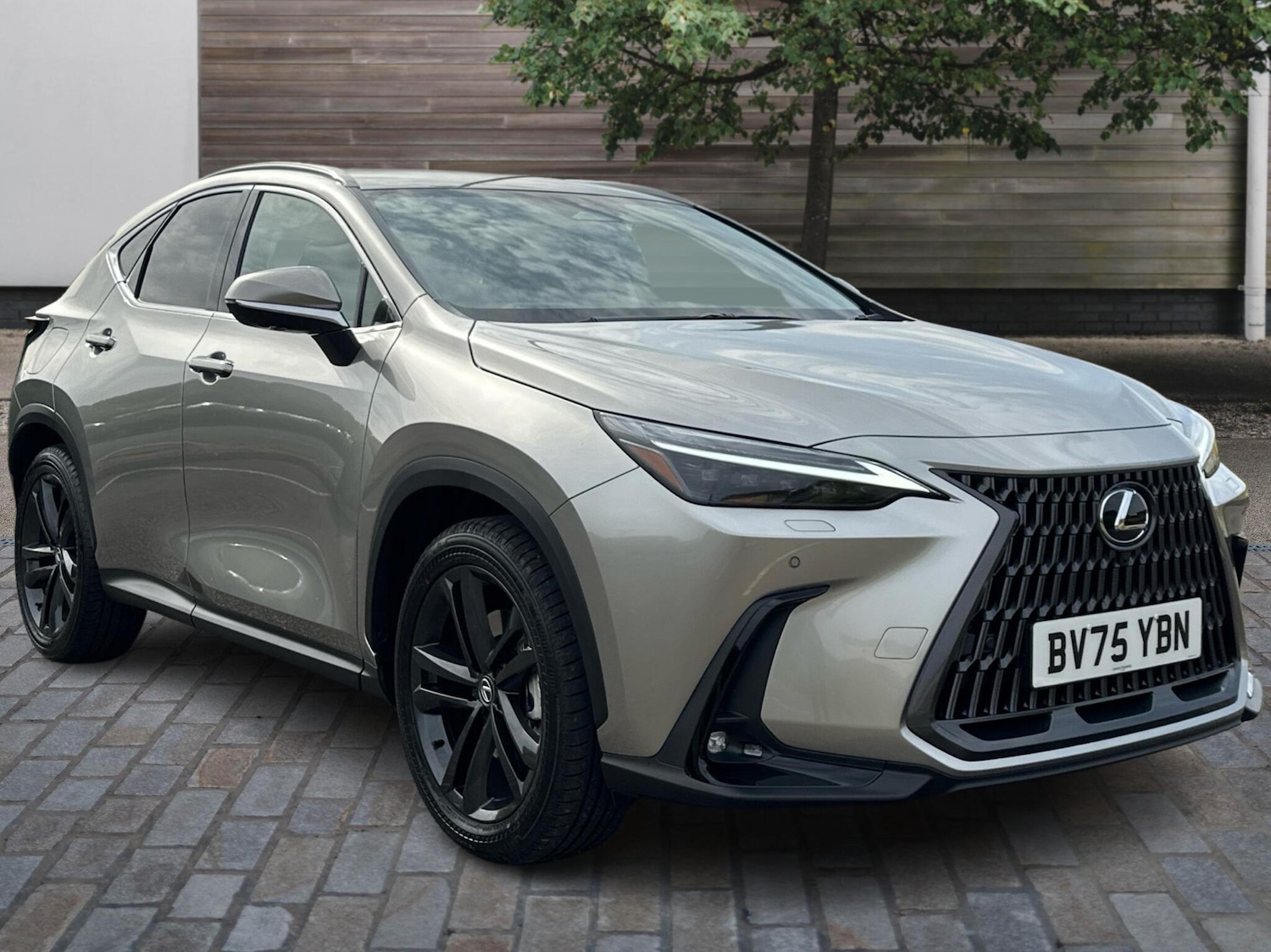 Used Lexus NX 2025 for sale - 75859630: Photo 1