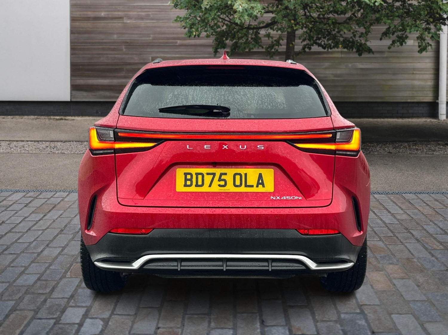 Used Lexus NX 2025 for sale - 76662308: Photo 10