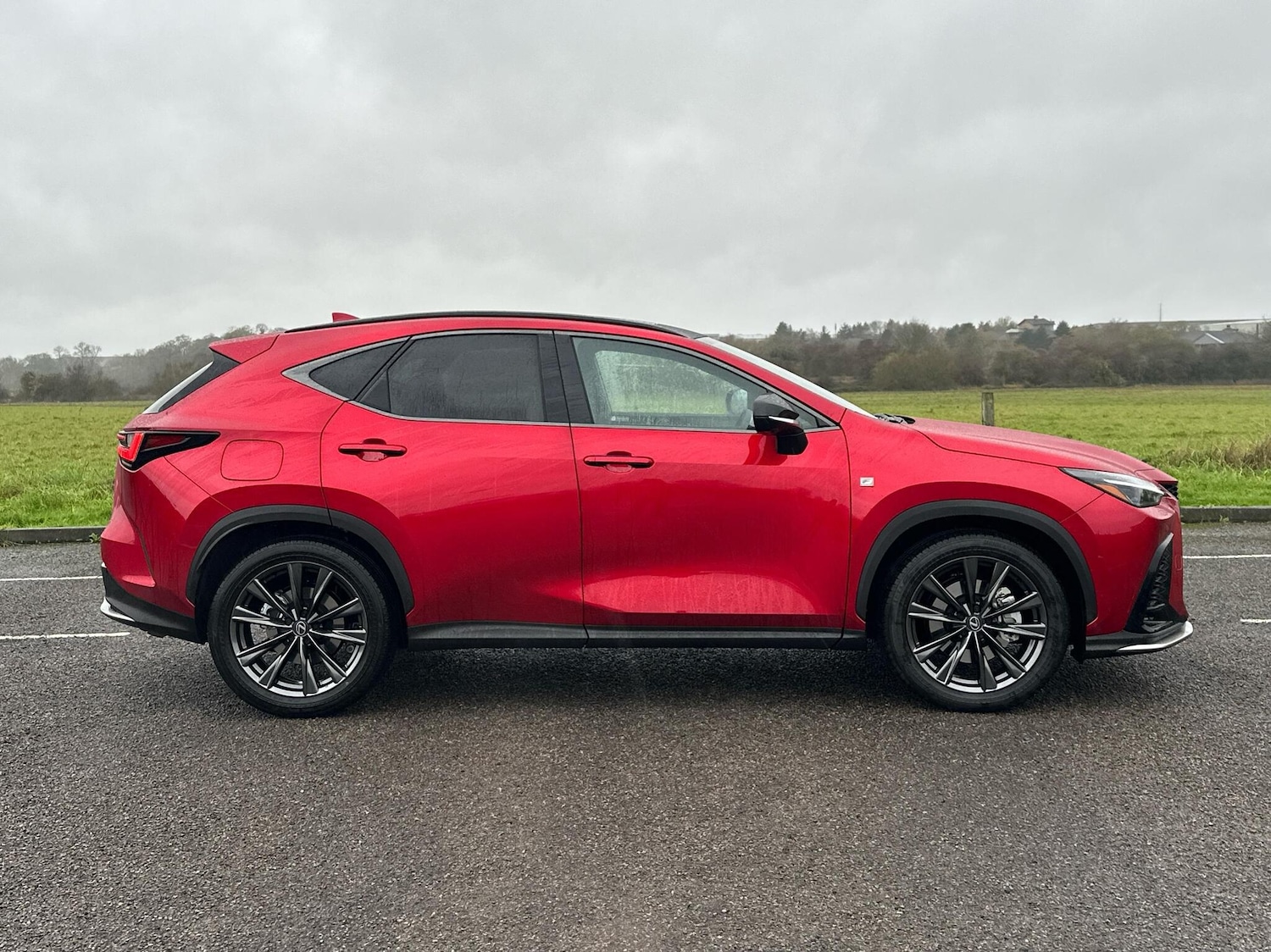 Used Lexus NX 2025 for sale - 76662308: Photo 4