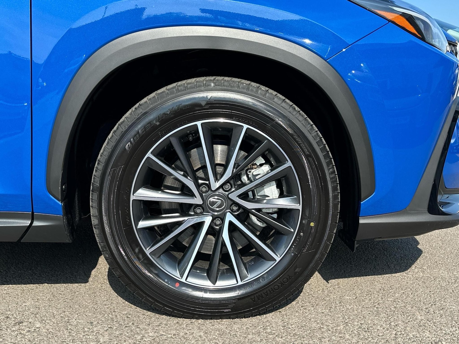 Used Lexus NX 2025 for sale - 76228837: Photo 11