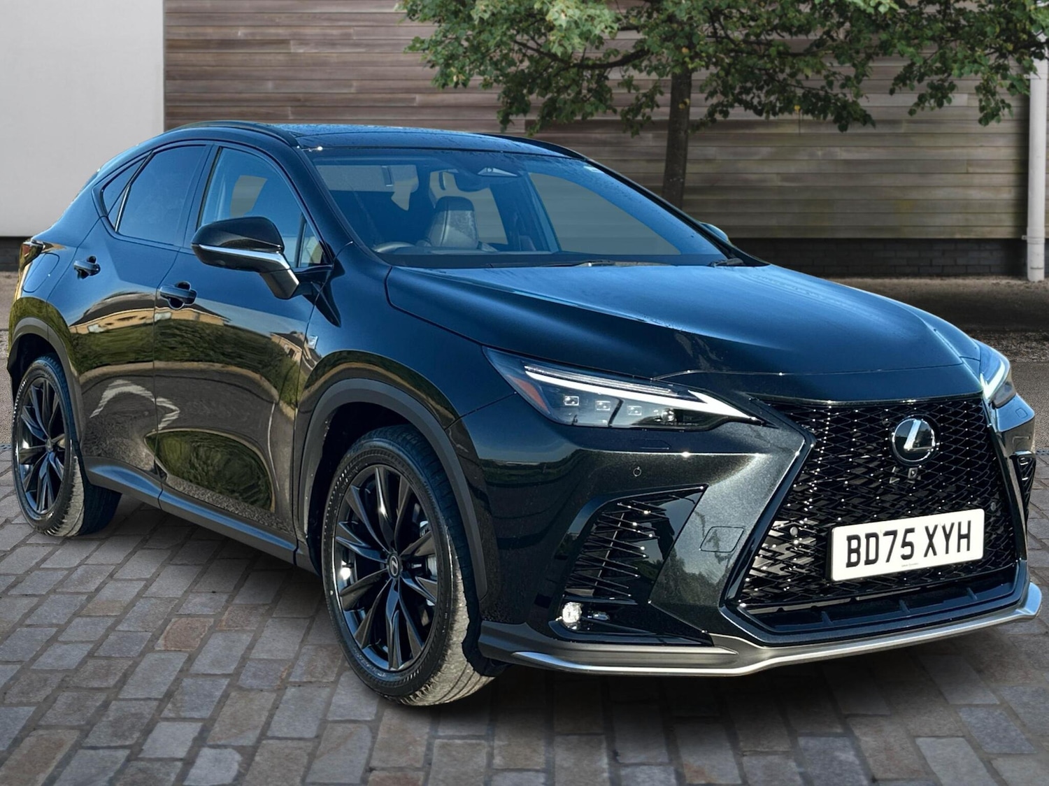 Used Lexus NX 2025 for sale - 76671018: Photo 1