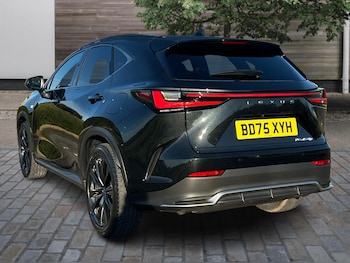 Used Lexus NX 2025 for sale - 76671018: Photo