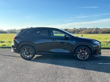 Used Lexus NX 2025 for sale - 76671018: Photo
