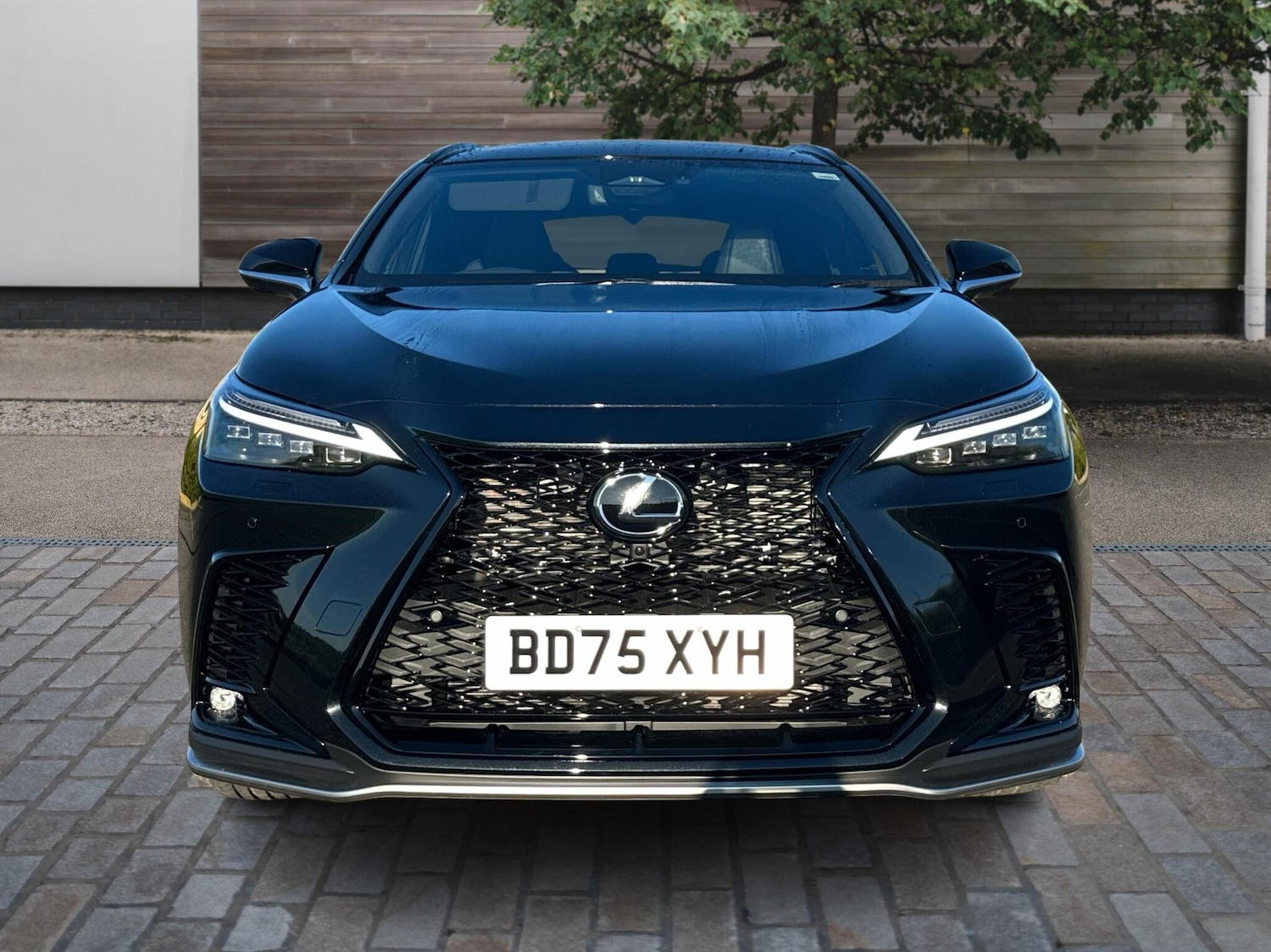 Used Lexus NX 2025 for sale - 76671018: Photo 7