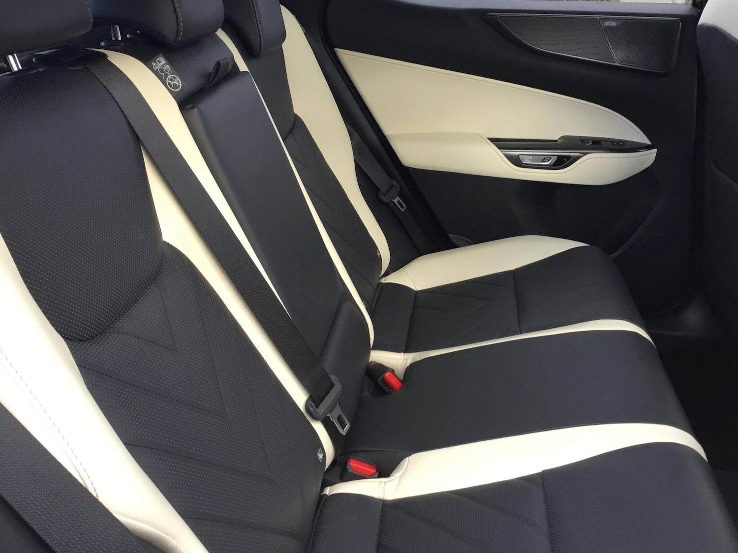 Used Lexus NX 2024 for sale - 76400331: Photo 9