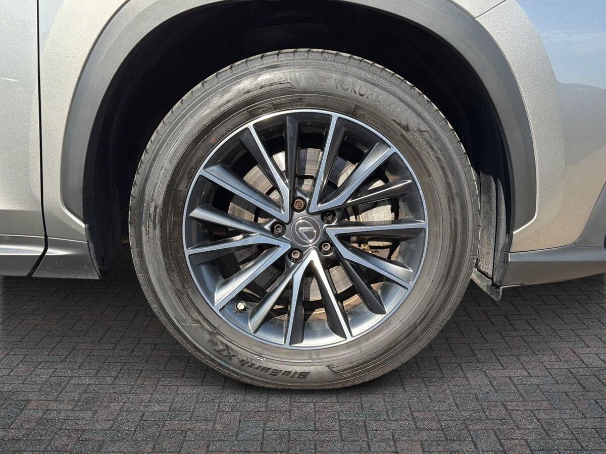 Used Lexus NX 2023 for sale - 77770766: Photo 6