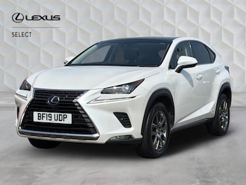Used Lexus NX 2019 for sale - 79305375: Photo