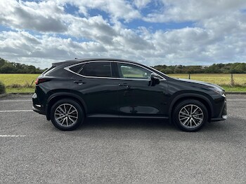 Used Lexus NX 2023 for sale - 75942720: Photo