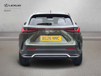 Used Lexus NX 2026 for sale - 78277361: Photo