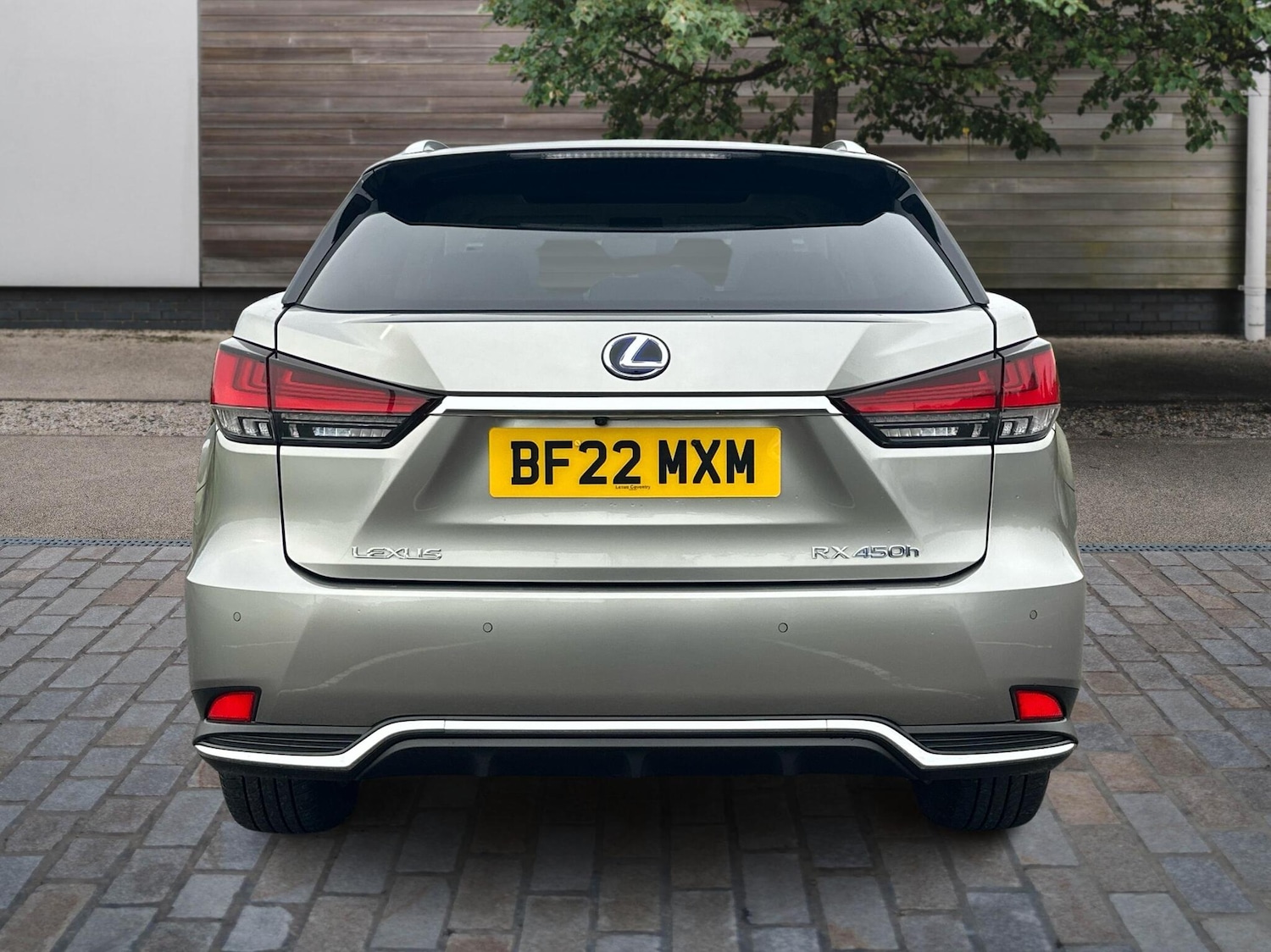 Used Lexus RX 2022 for sale - 76419862: Photo 10