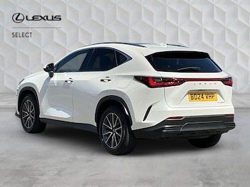Used Lexus NX 2024 for sale - 79269693: Photo