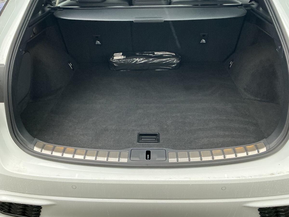 Used Lexus RX 2023 for sale - 76800677: Photo 10