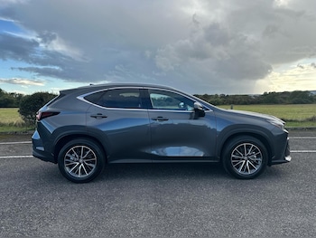 Used Lexus NX 2025 for sale - 75814209: Photo