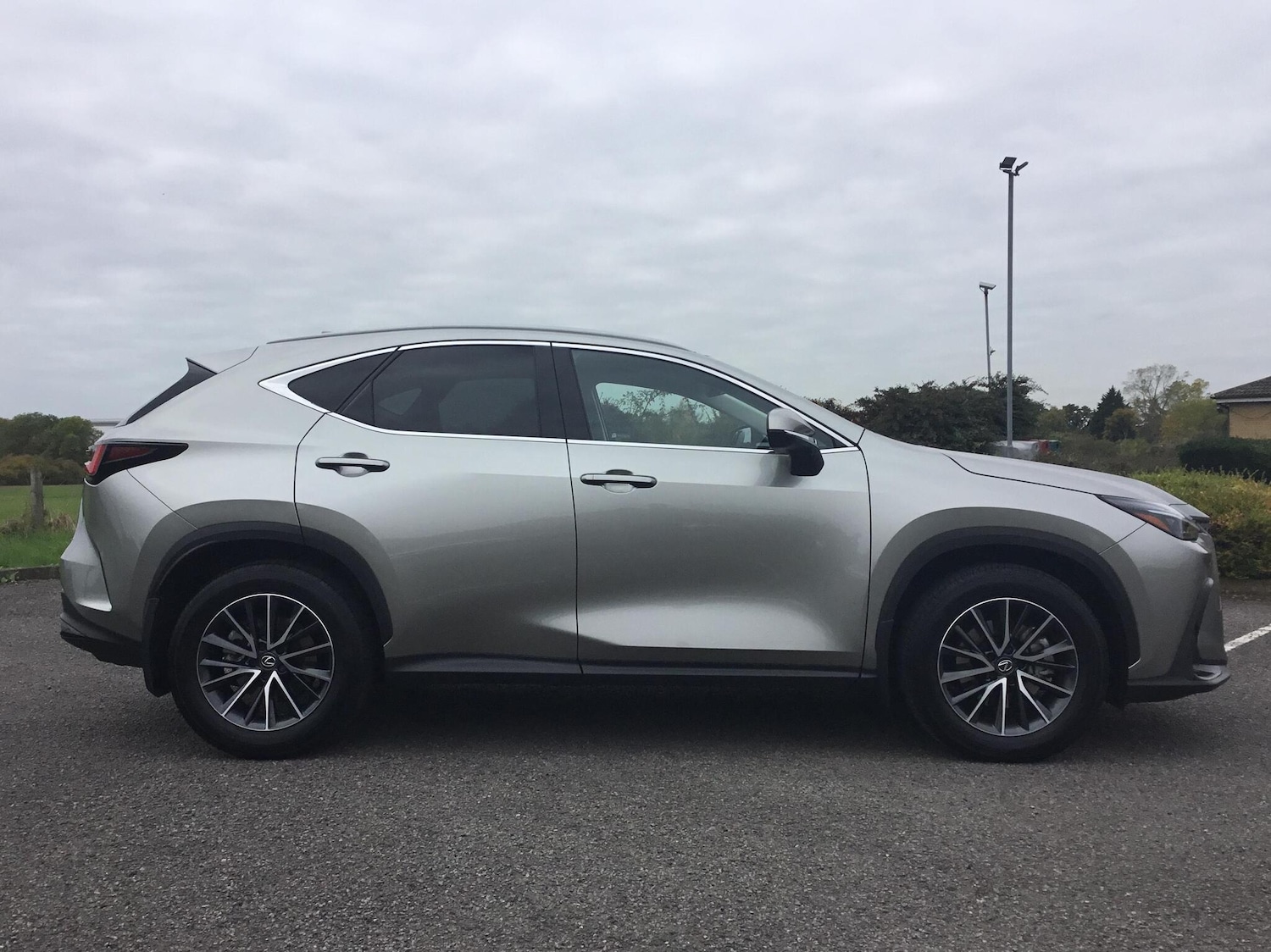 Used Lexus NX 2023 for sale - 77254491: Photo 4