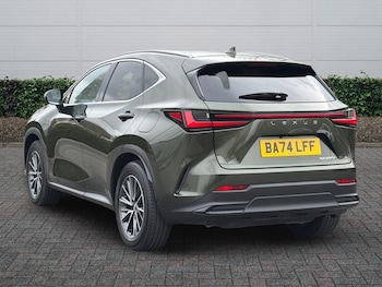 Used Lexus NX 2024 for sale - 77971393: Photo