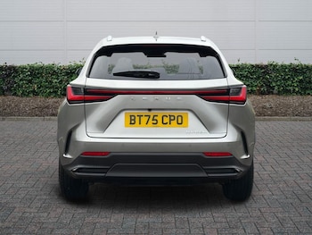 Used Lexus NX 2025 for sale - 77231551: Photo