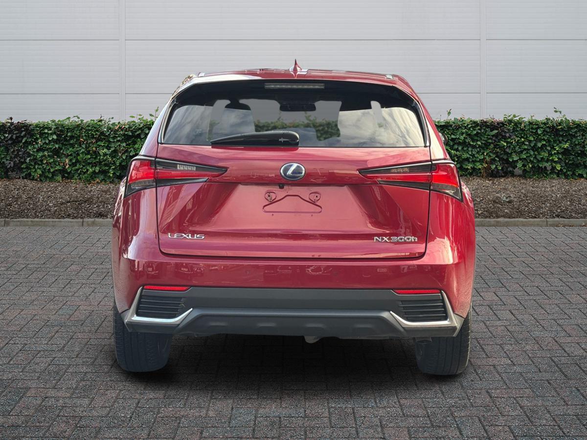 Used Lexus NX 2019 for sale - 77372516: Photo 4