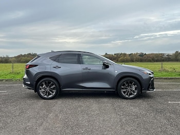 Used Lexus NX 2023 for sale - 76419852: Photo