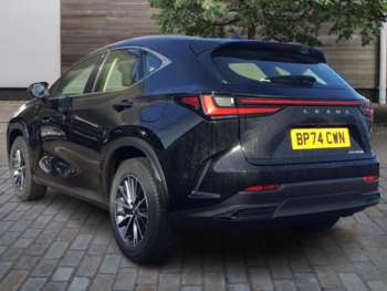 Used Lexus NX 2025 for sale - 73648731: Photo