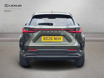 Used Lexus NX 2026 for sale - 78277346: Photo