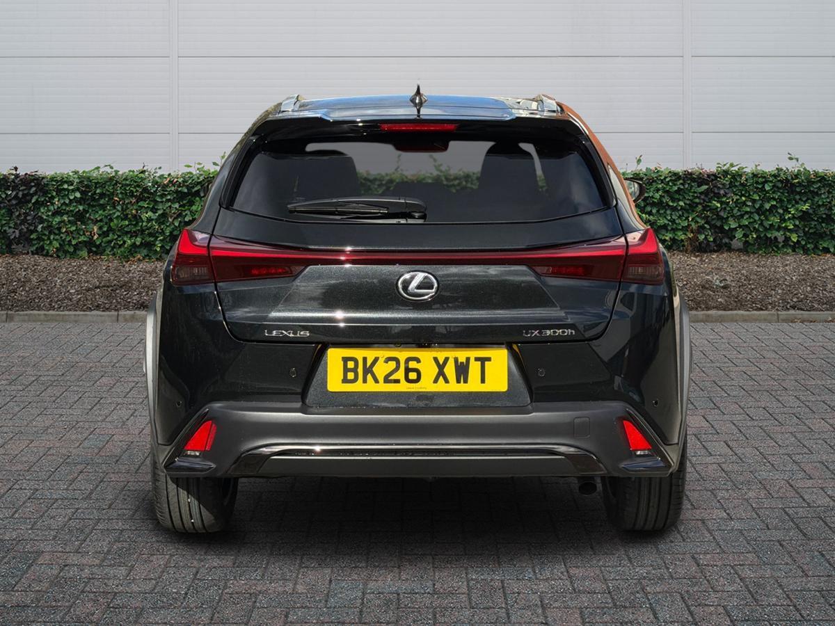 Used Lexus UX 2026 for sale - 77893604: Photo 4