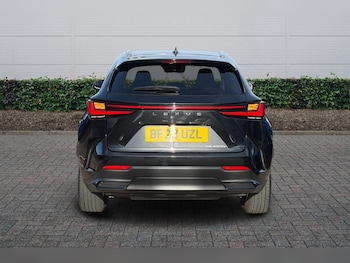 Used Lexus NX 2023 for sale - 77884860: Photo