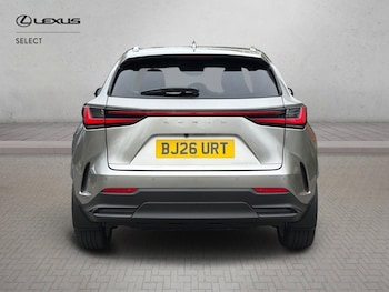 Used Lexus NX 2026 for sale - 78088079: Photo