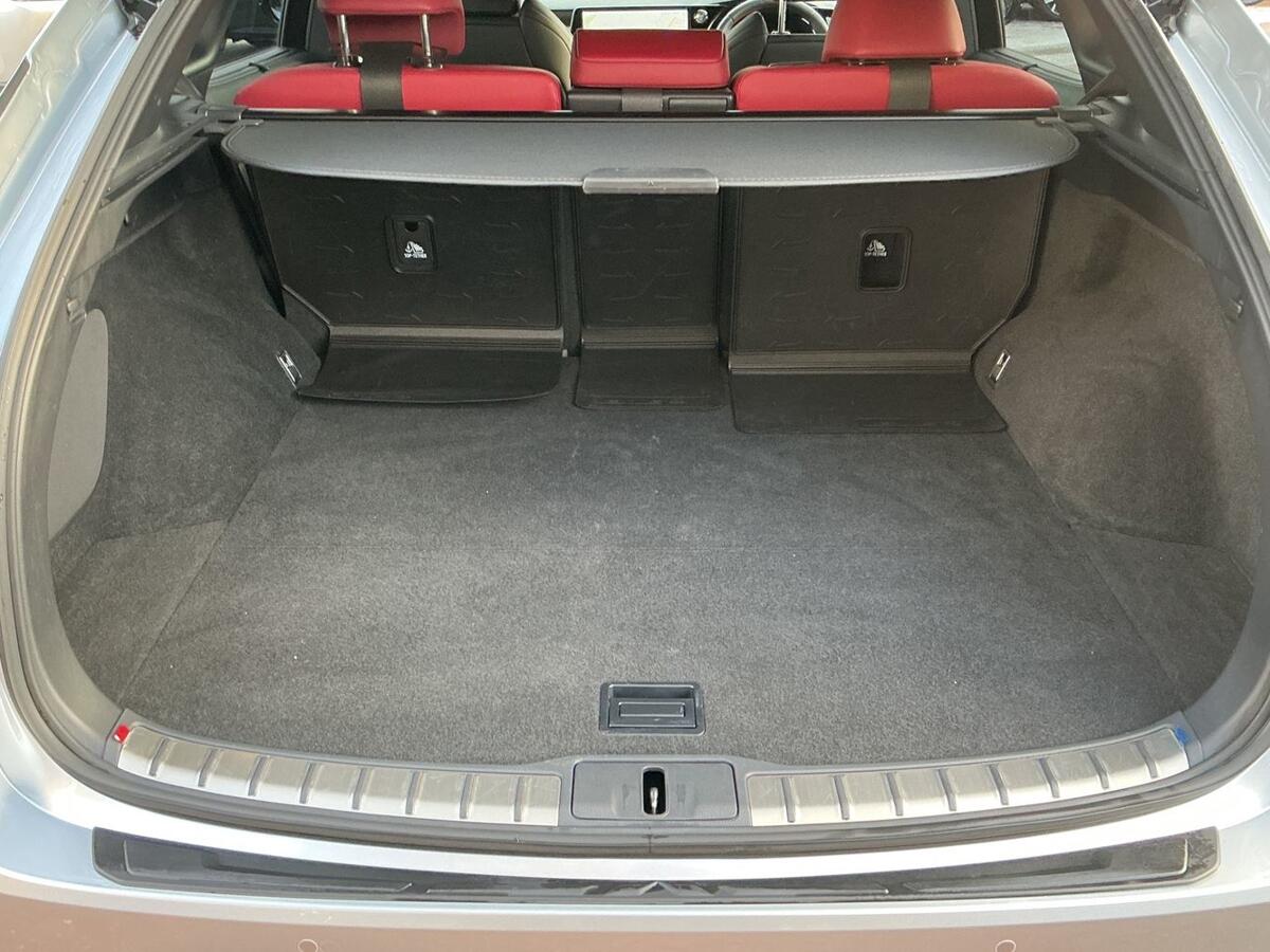 Used Lexus RX 2023 for sale - 77205021: Photo 10